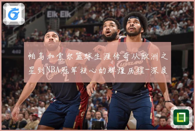 帕乌加索尔篮球生涯传奇从欧洲之星到NBA冠军核心的辉煌历程-深度解析
