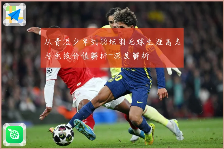 从青涩少年到羽坛羽毛球生涯高光与竞技价值解析-深度解析
