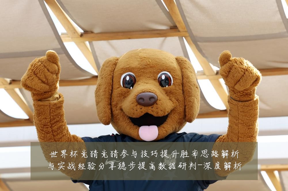 世界杯竞猜竞猜参与技巧提升胜率思路解析与实战经验分享稳步提高数据研判-深度解析